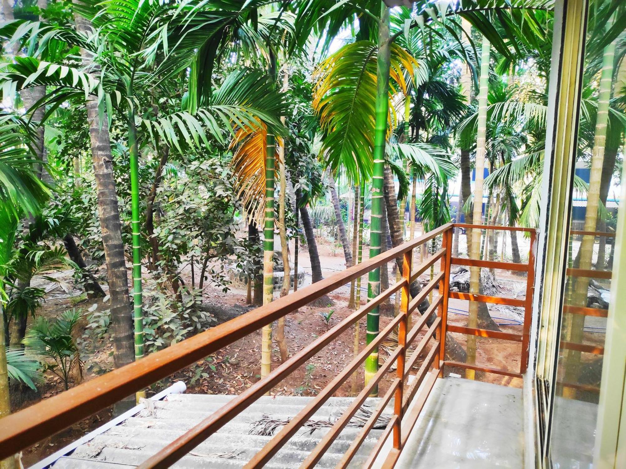 Ashish Baug Cottage Alībāg Quarto foto